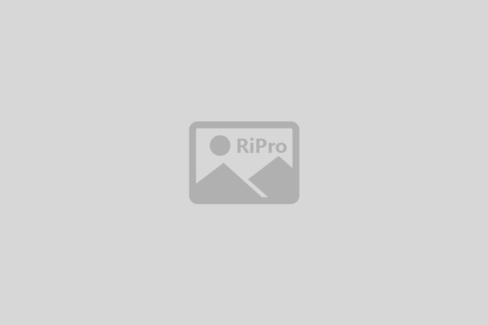 [repro-test-1790870787]